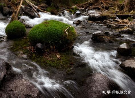 壬水戊土|【八字命理】基础理论逻辑——戊土